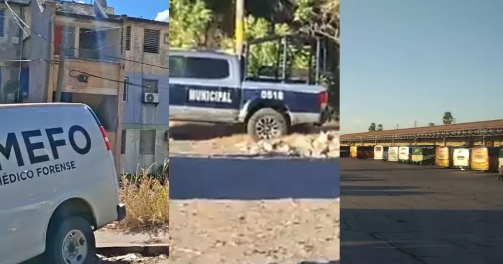 Encuentran mujer muerta en Culiacán y un hombre en Navolato: Últimas noticias de Sinaloa