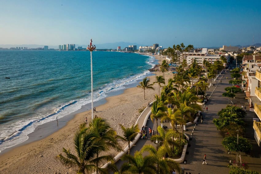 Novedades de noviembre en Puerto Vallarta: MND Local