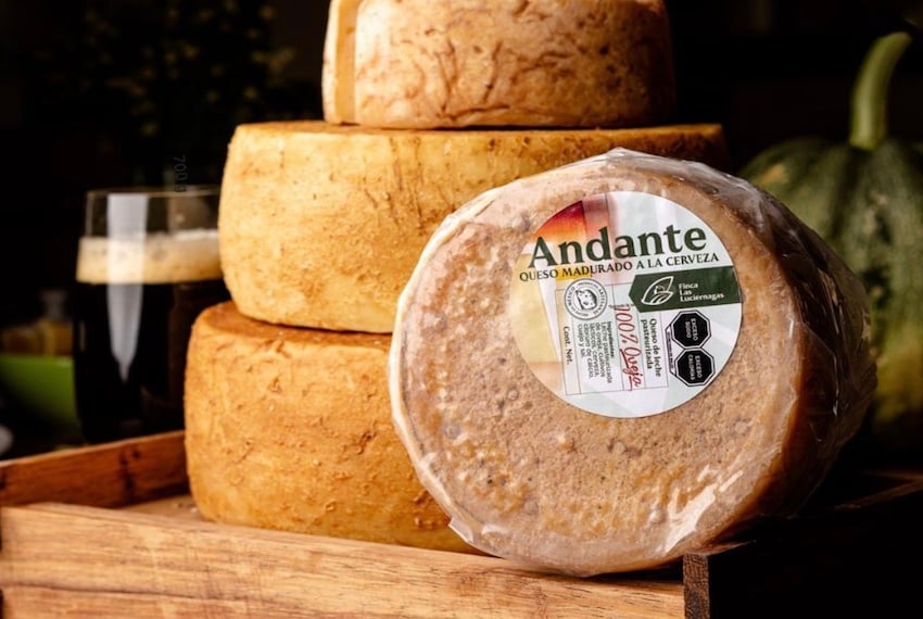 Seis quesos mexicanos premiados en los World Cheese Awards 2025