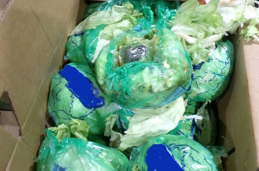 'Una ensalada inapropiada para la mesa de Acción de Gracias de este año': CBP intercepta US $10 millones de metanfetamina en un envío de lechuga