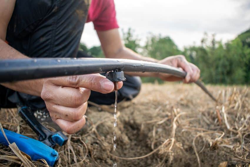 ¿Está enfrentando México una crisis hídrica en su sector agrícola?