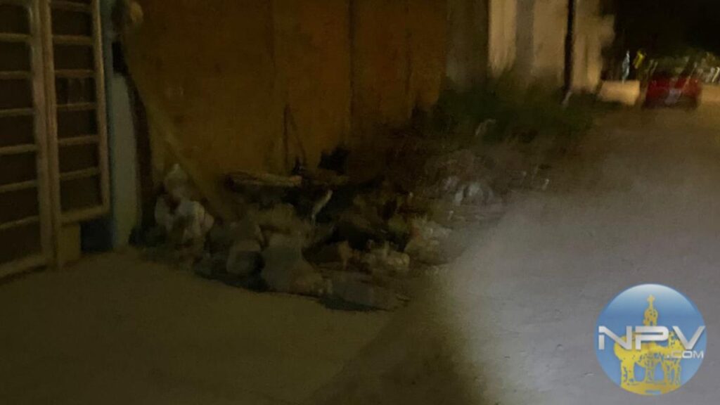 Acumulación continua de hojas en aceras de Puerto Vallarta