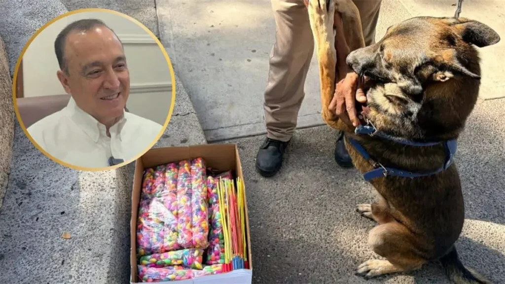 Comercios en Los Mochis clausurados por venta ilegal de pirotecnia