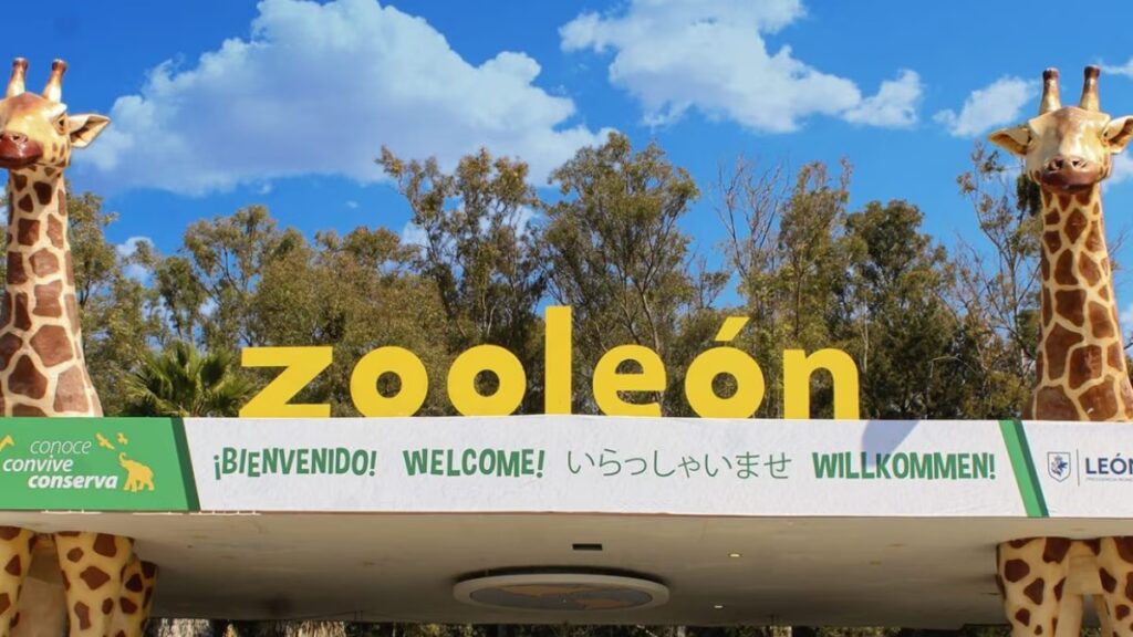 El Zoológico de León suspende actividades por denuncias de crueldad animal
