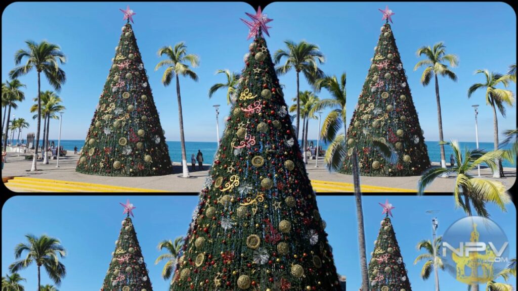 El espíritu navideño se ilumina en Puerto Vallarta con el árbol del Malecón