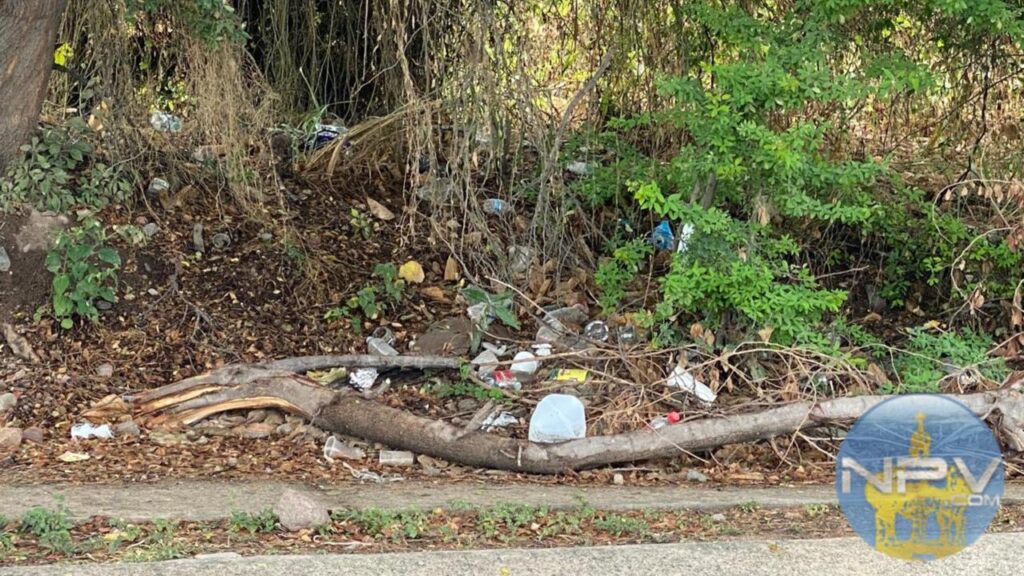 El incremento de basureros clandestinos en Puerto Vallarta