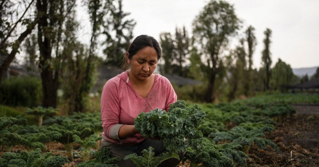 El sector de servicios impulsa la economía mexicana, según el informe del Inegi