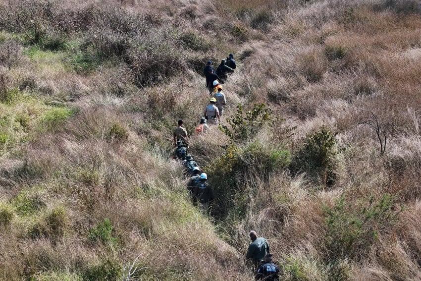 Explorando la Tierra: Cómo científicos mexicanos utilizan plantas, insectos y suelo para encontrar a los desaparecidos