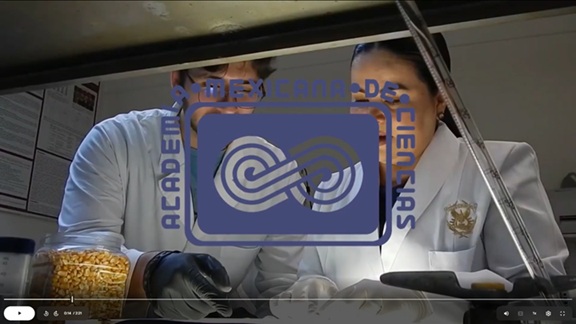 Ingreso de dos investigadores de la UAS a la Academia Mexicana de Ciencias