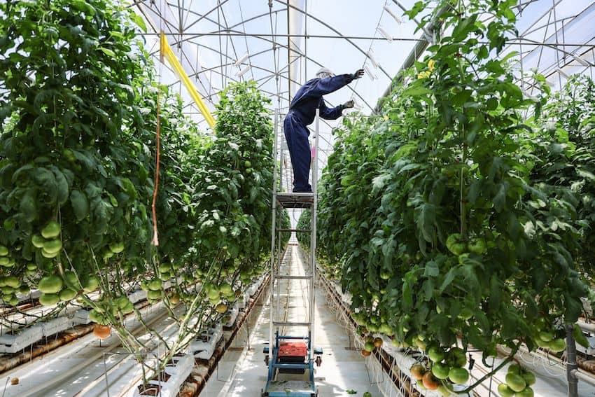 La economía mexicana da un giro, creciendo un 1% en octubre