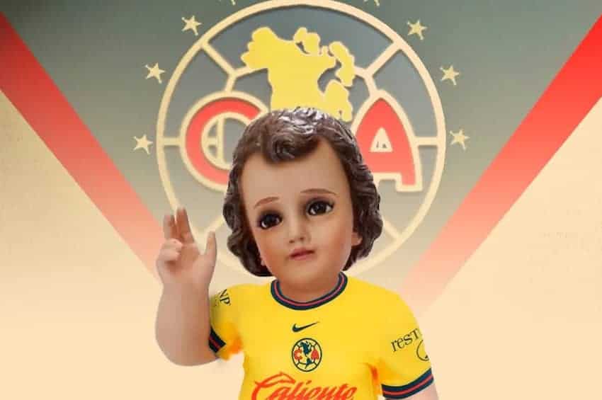 Los momentos más mágicos de México en 2025: Sándwiches premiados, cardenales atrevidos y jirafas rebeldes