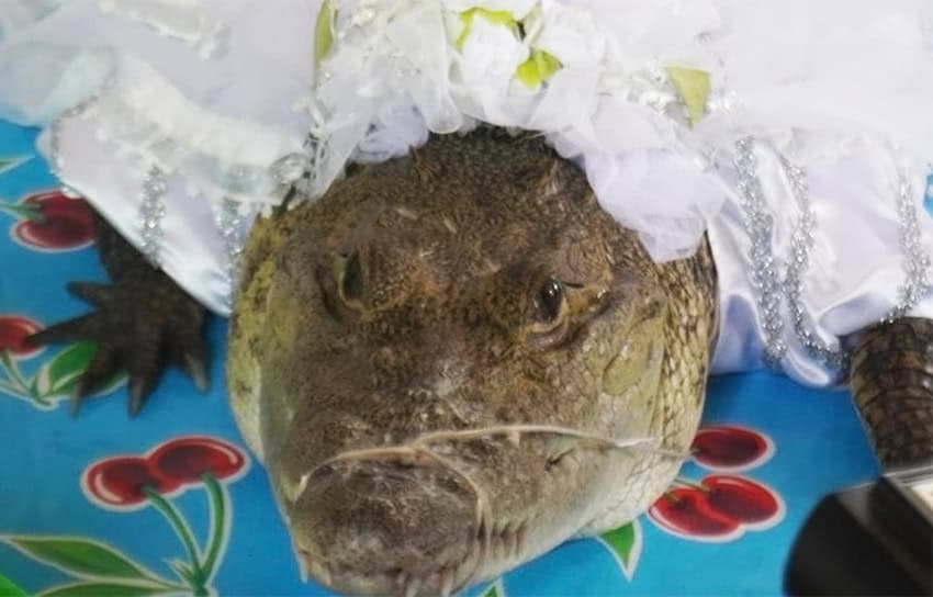 Los momentos más mágicos de 'México mágico' en 2025: Jaguares resurgentes, novias caimán y terror de tabloides