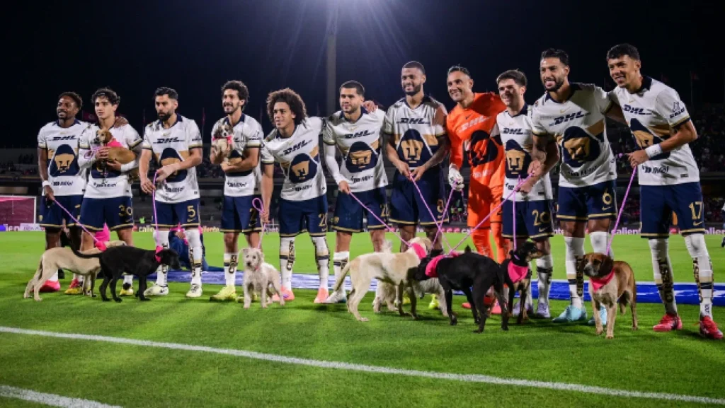 Mercado de fichajes: Altas, bajas y rumores de Pumas para el Clausura 2026