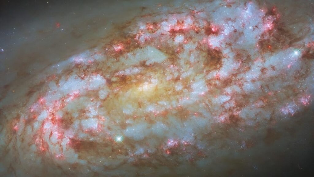 Nueva imagen de la galaxia NGC 1792: un espectáculo estelar extremo captado por Hubble
