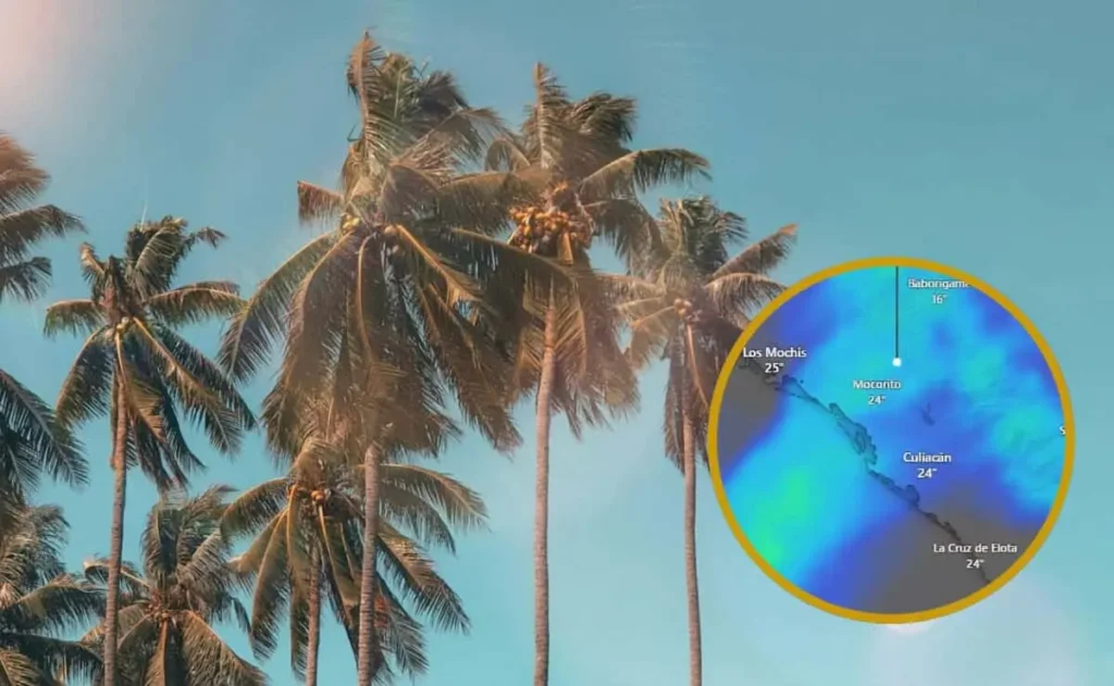 Persistirá el inusual calor postnavideño en Sinaloa con temperaturas récord y vientos intensos