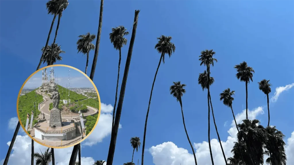 Pronóstico del tiempo en Los Mochis para el jueves 18 de diciembre: Día cálido y despejado ahead.