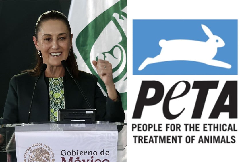 Sheinbaum nombrada Persona del Año de PETA Latino por su agenda de bienestar animal