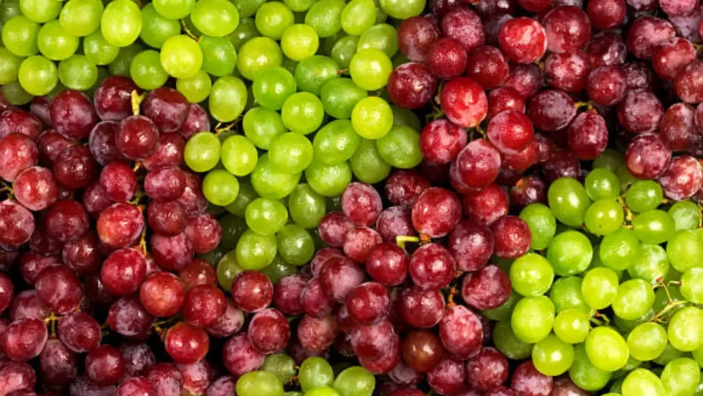 Uvas rojas vs. verdes: ¿cuáles son sus diferencias y qué elegir para Año Nuevo en México?