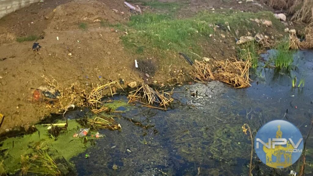 Vecinos reportan malos olores y basura por acumulación de agua en terreno abandonado en la avenida Francisco Medina