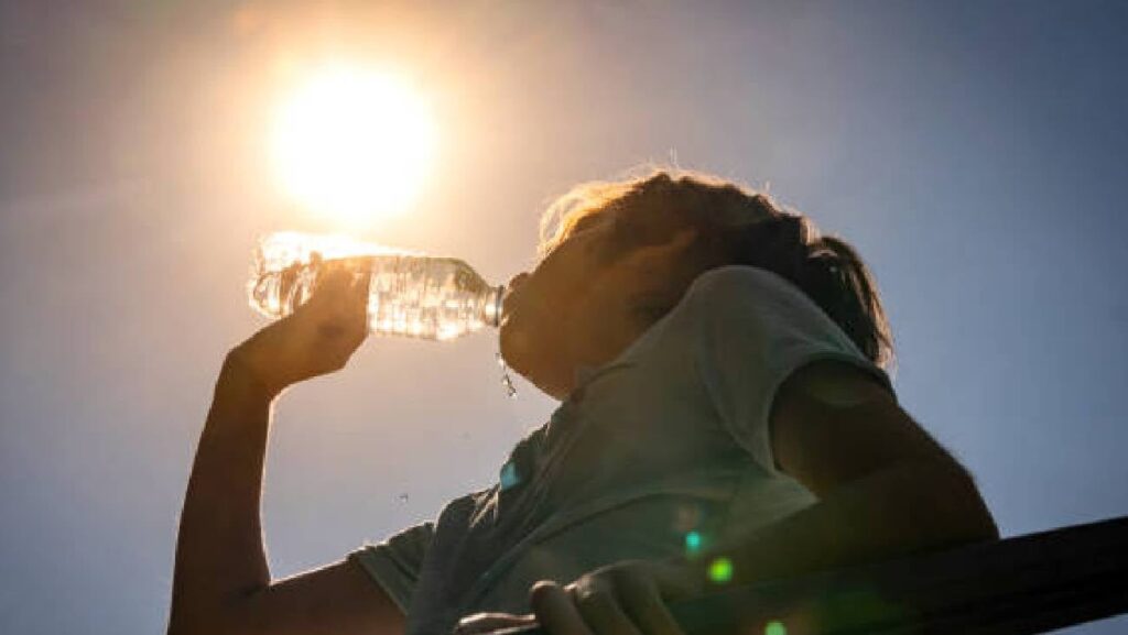 2026 será uno de los años más calurosos jamás registrados en México, advierten científicos