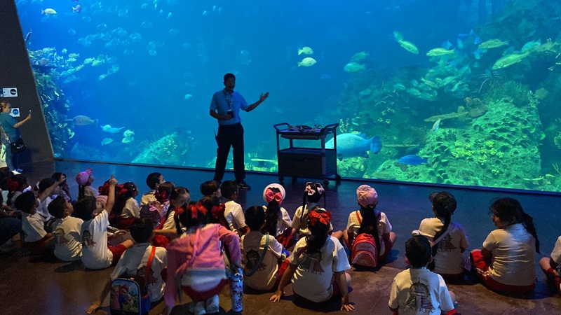 El Acuario de Mazatlán promueve la educación ambiental cumpliendo estándares internacionales